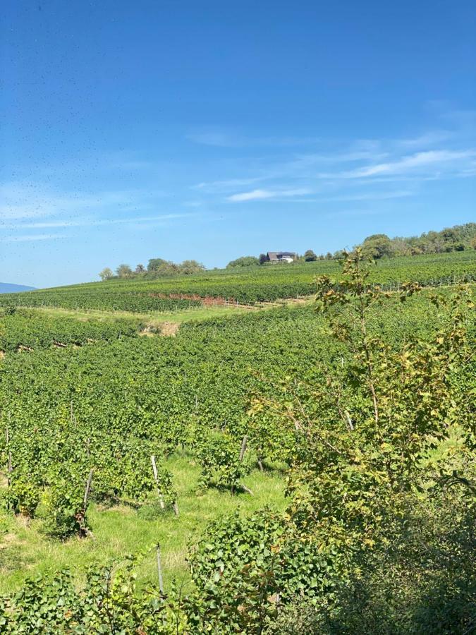 Haeuschen Am Plenzer Villa Ingelheim am Rhein Luaran gambar